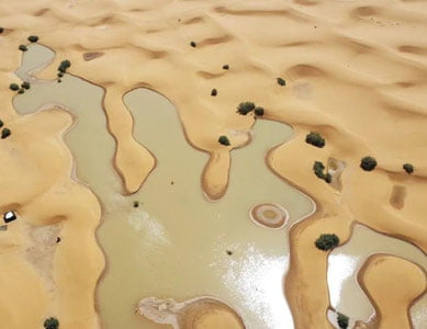 Kuchli yog‘ingarchilik sabab Sahroi Kabirni suv bosdi