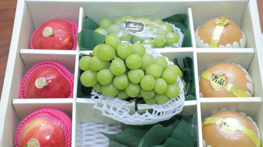 O‘zbekistonda uzumning yangi navlari yetishtiriladi