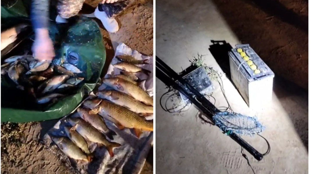 Бухорода балиқчилар табиатга 1,6 млрд зарар етказди