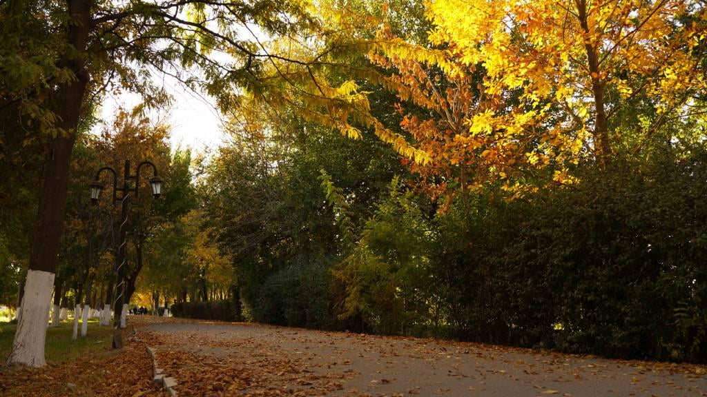 12 ноябрь учун об-ҳаво прогнози эълон қилинди