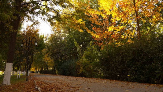 12 ноябрь учун об-ҳаво прогнози эълон қилинди