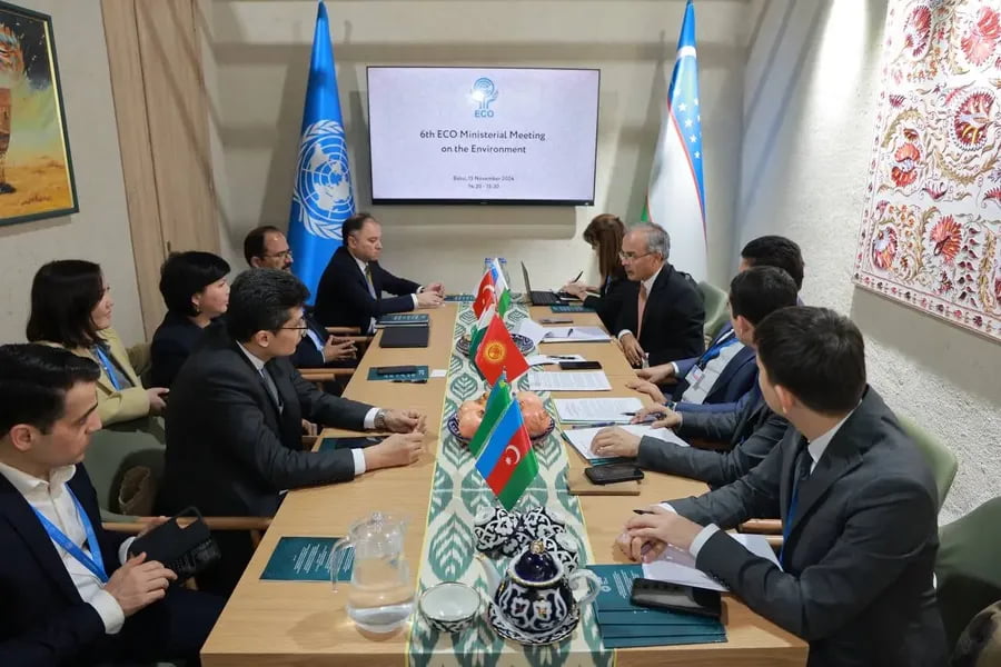 БМТ Ўзбекистонга миллий миқёсда белгиланган ҳиссаларни тайёрлашда ёрдам беради