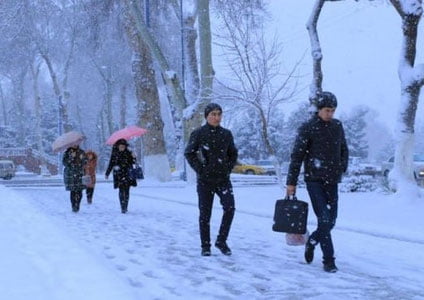 Allergiyaga moyil kishilar sovuqdan qanday himoyalanishi kerak?