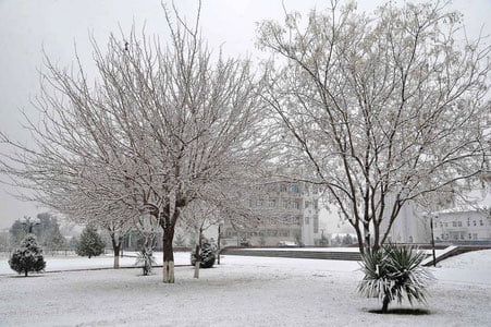 21-dekabr uchun ob-havo prognozi eʼlon qilindi