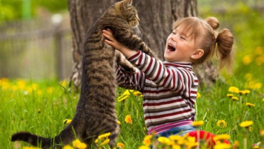 Уй ҳайвонлари инсонга қанчалик боғланади?