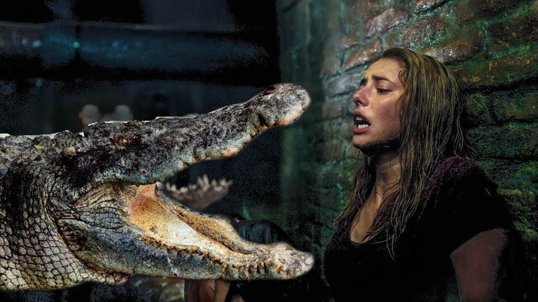 Кенияда мактаб ўқувчиси тимсоҳ ҳужуми сабаб ҳалок бўлди