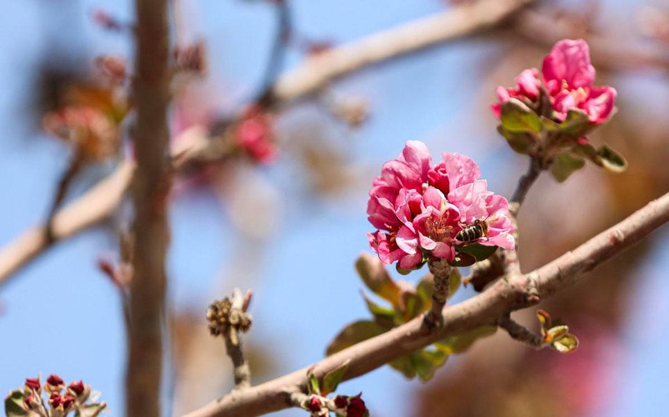 22-mart uchun ob-havo prognozi e’lon qilindi