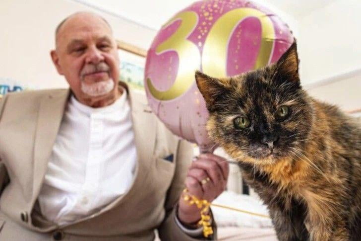 Dunyodagi eng keksa mushuk 30 yoshga to‘ldi