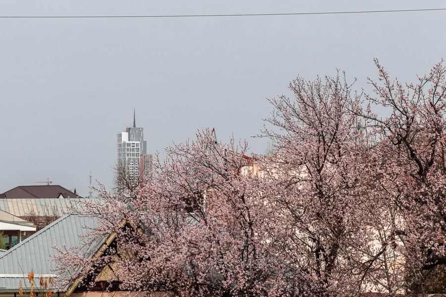 9-aprel uchun ob-havo prognozi eʼlon qilindi