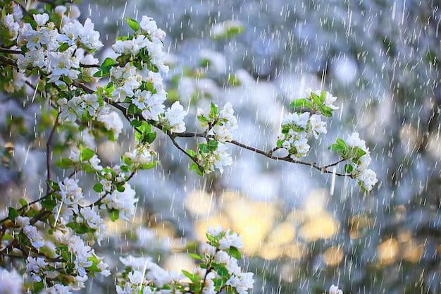 17 апрель учун об-ҳаво прогнози эълон қилинди