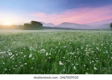 23-aprel uchun ob-havo prognozi e'lon qilindi