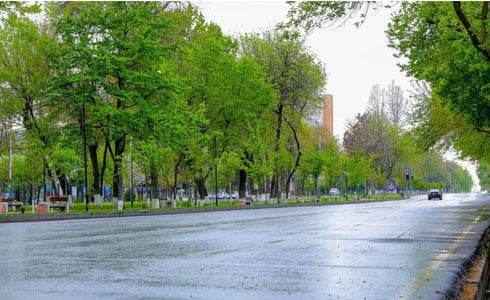 21 iyun uchun ob-havo prognozi e'lon qilindi