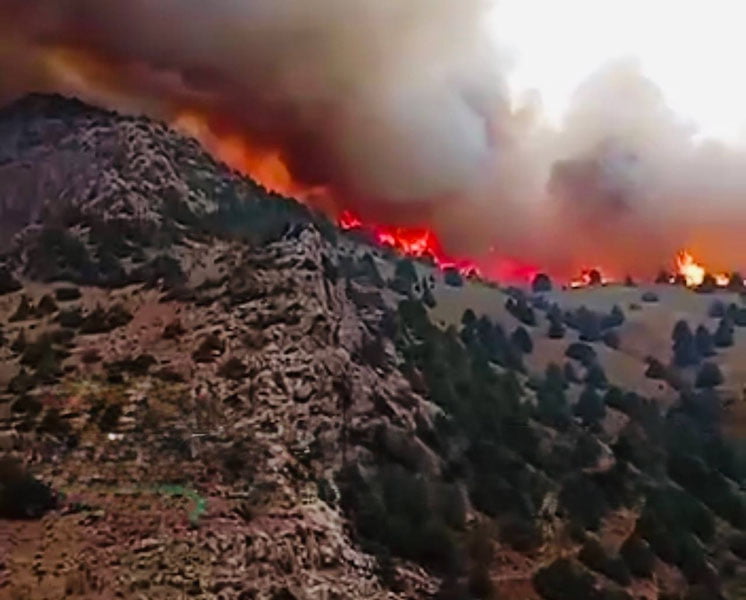 Сурхон давлат қўриқхонаси ерига ўт кетди