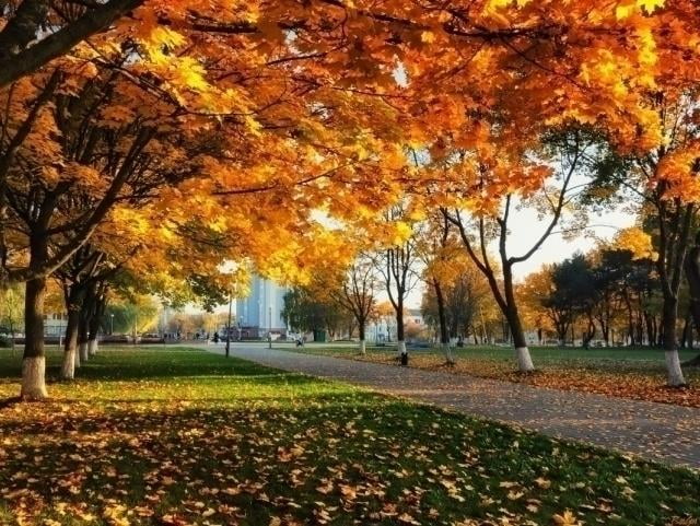 Августда Ўзбекистонда об-ҳаво қандай бўлади?