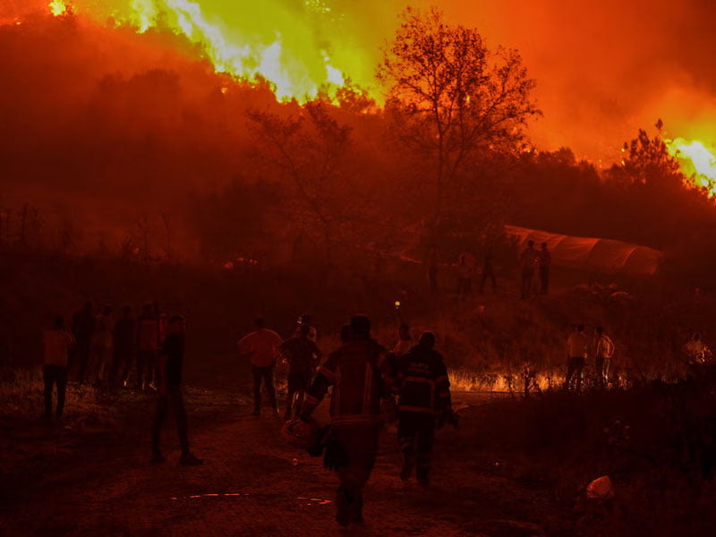 Туркиянинг Бурса шаҳри ўрмон ёнғинлари ичида қолди