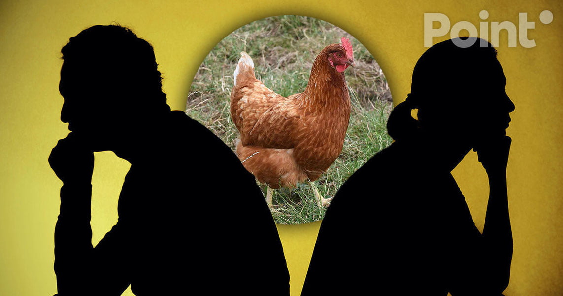 Xitoyda er-xotin tovuqlar sabab ajrasha olmadi