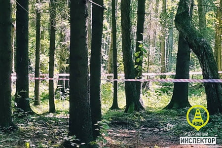 Sankt-Peterburg yaqinida o‘zbekistonlik migrant pichoqlangan holda topildi