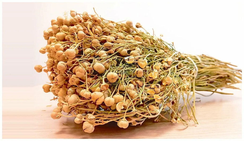 Tojikistonlik ayol Rossiyaga isiriq olib kirgani uchun qamaldi