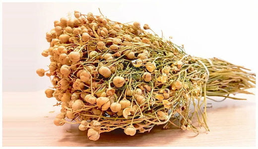 Tojikistonlik ayol Rossiyaga isiriq olib kirgani uchun qamaldi