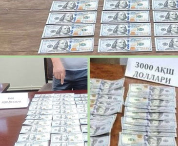 Оҳангарон, Бухоро ва Пискентда ўқишга киритиб қўйишни ваъда қилган шахслар ушланди