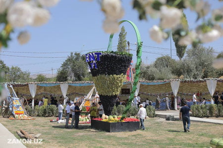 Bu yil “Uzum sayli”ga 500 mingdan ortiq sayyoh tashrif buyurdi