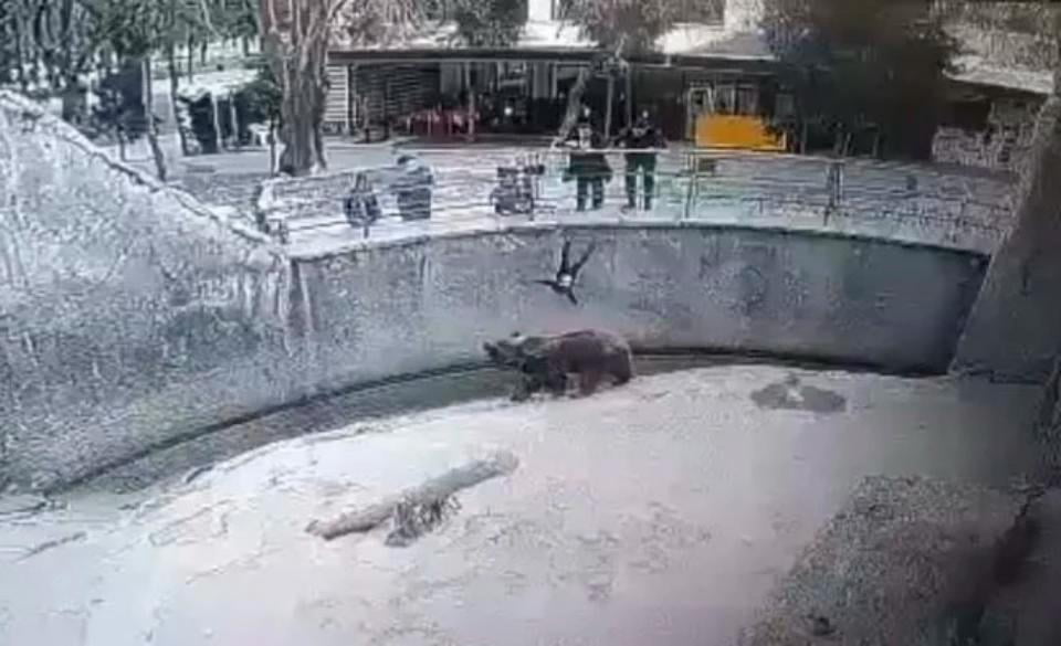 Toshkentda ona 7 yoshli qizini pichoqlab o‘ldirdi