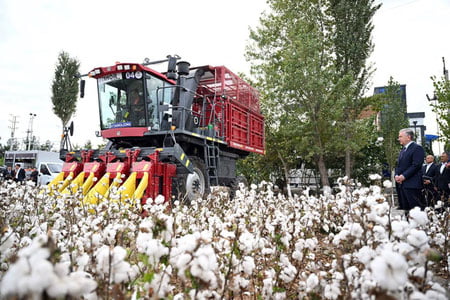 Президент Нориндаги корхона фаолияти билан танишди