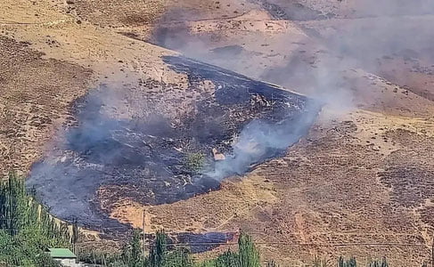 Bo‘stonliq tumanida yong‘in sodir bo‘lgani O‘rmon agentligi tomonidan tasdiqlandi