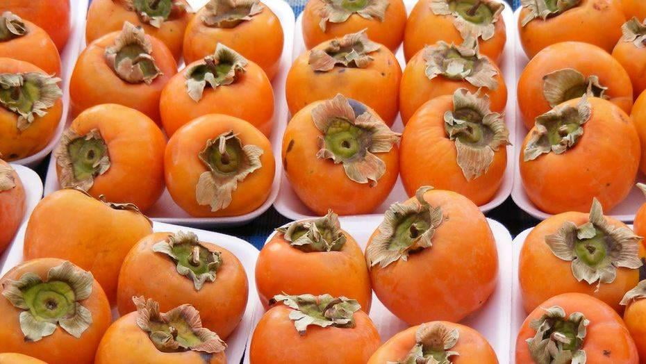 Rossiyaga O‘zbekistondan yuborilgan xurmo qaytarilgani aytilmoqda