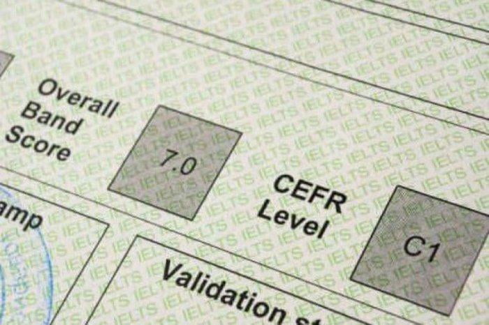 O‘zbekistonda xalqaro til sertifikati yo‘q o‘qituvchilarga yil oxirigacha ishlashga ruxsat berildi