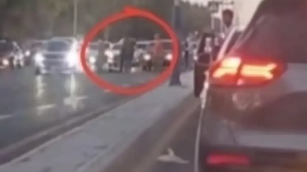 Тошкентда Cobalt ҳайдовчиси пиёдани уриб юбoрди