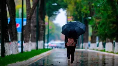 Дам олиш кунлари Ўзбекистонда ёмғирли об-ҳаво кутиляпти