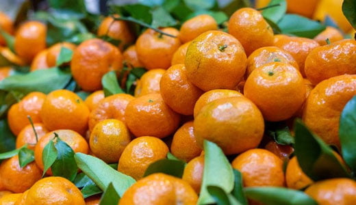 O‘zbekistonga Xitoyda yetishtirilgan mandarinlar importiga vaqtinchalik taqiq joriy etildi