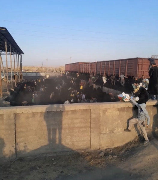 Surxondaryoda aholi ko‘mir talashib janjallashdi