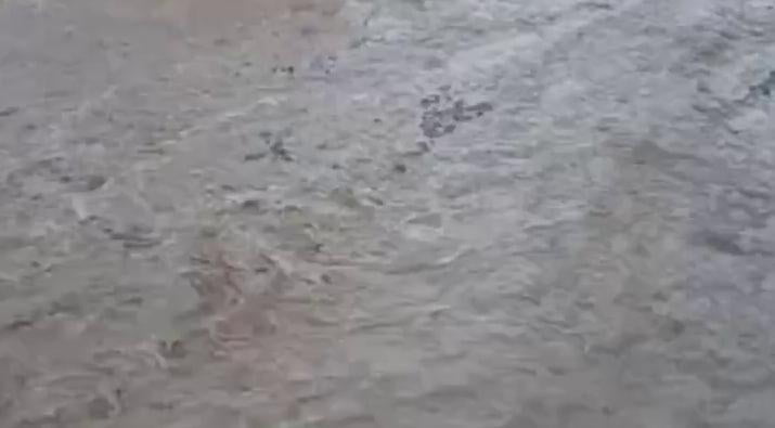 Андижонда аҳоли уйларини сув босди