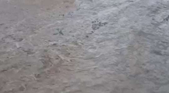 Андижонда аҳоли уйларини сув босди