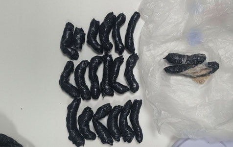 O‘zbekistonda yirik narkotarmoq fosh etildi