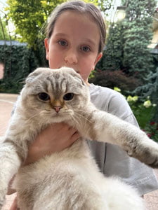 Prezident oilasining mushugi yoʻqolib qoldi