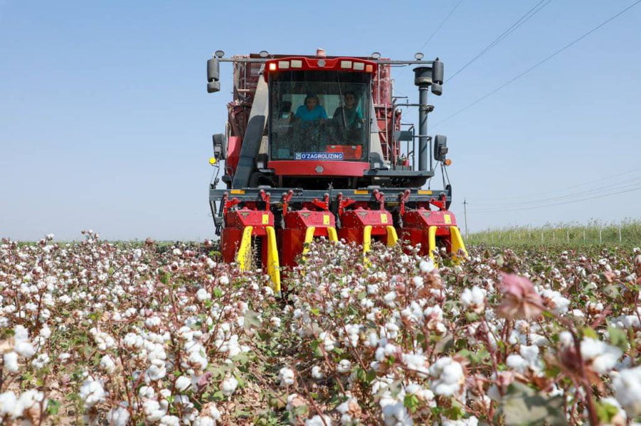 Surxondaryo paxta rejasini birinchi bo‘lib bajardi