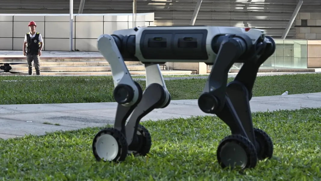 Хитой полицияси хизматига робот-итлар кириб келмоқда