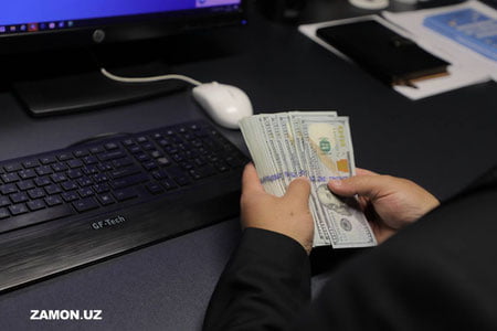 Migrantlar yuborgan pullarning katta qismiga nimalarga sarflanmoqda?