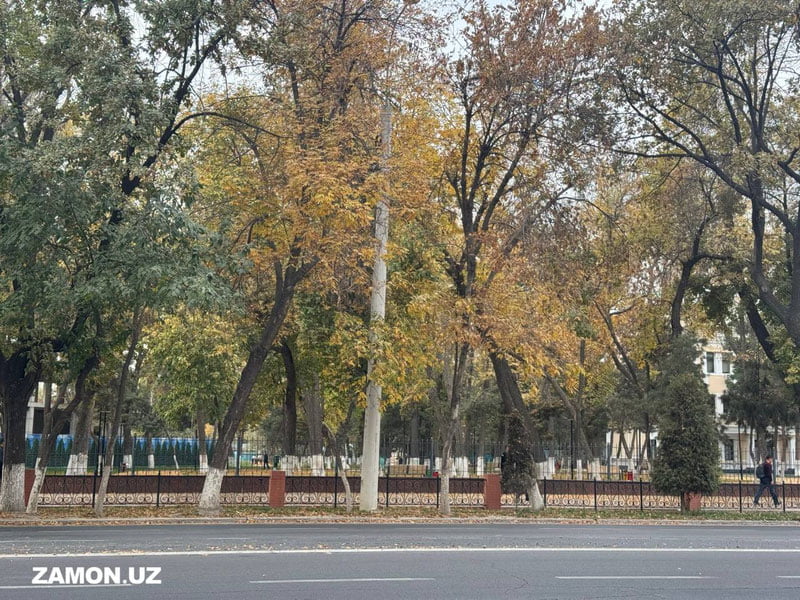 Бугун Ўзбекистоннинг тоғли ҳудудларда ёмғир ва қор ёғиши кутилмоқда