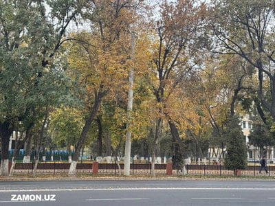 Бугун Ўзбекистоннинг тоғли ҳудудларда ёмғир ва қор ёғиши кутилмоқда