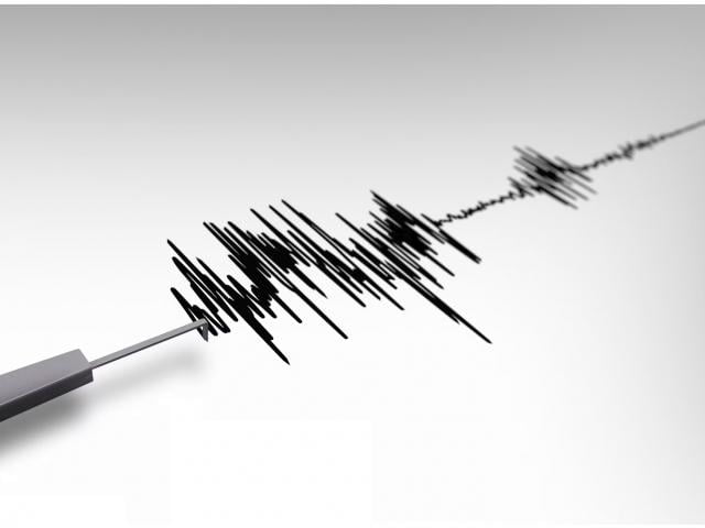 Ўзбекистонда 4 баллик зилзила қайд этилди