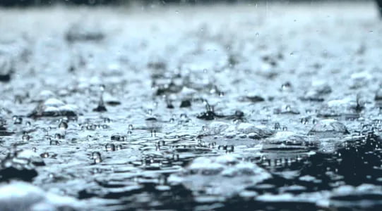 Bugun O‘zbekistonning ko‘plab hududlarida yomg‘ir yog'adi