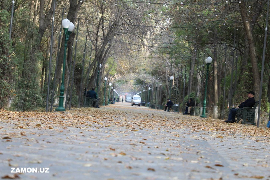 Bugun O‘zbekiston bo‘yicha o‘zgaruvchan havo kutilmoqda