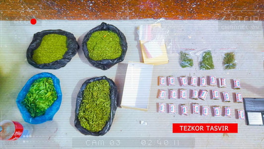 Toshkent viloyatida yarim tonnadan ortiq giyohvandlik vositalari musodara qilindi