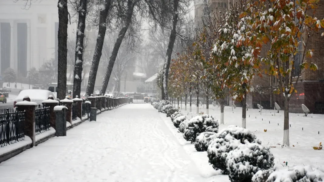 Hafta boshida O‘zbekistonning qator hududlarida qor yog‘ishi kutilmoqda