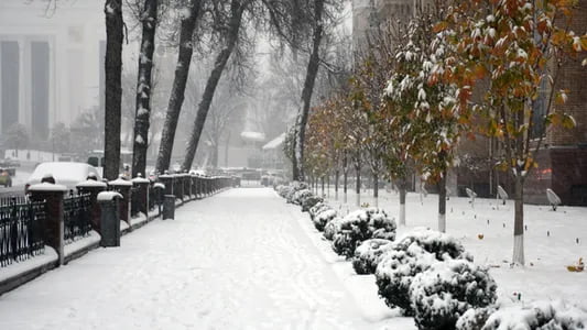 Hafta boshida O‘zbekistonning qator hududlarida qor yog‘ishi kutilmoqda