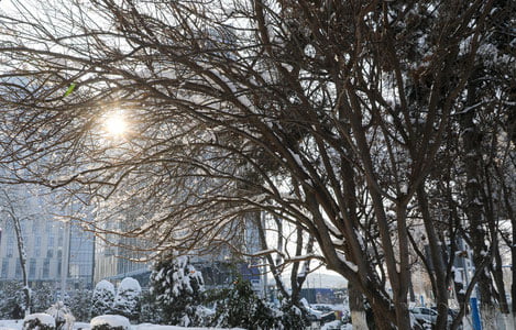 Бугун республиканинг айрим ҳудудларида ёмғир ва қор ёғади